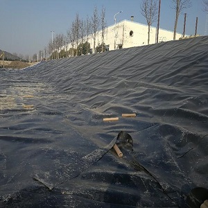 徐州地下室防渗膜(徐州室下防渗膜攻略)